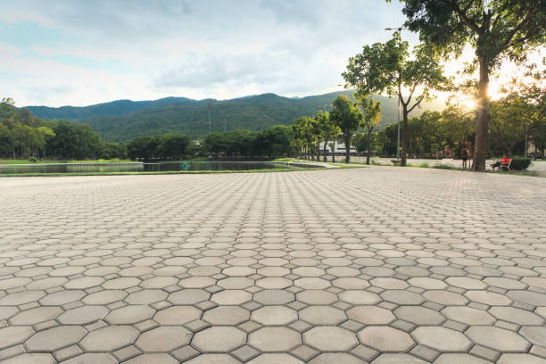 Best Driveway Pavers Near Me  in Munday, TX